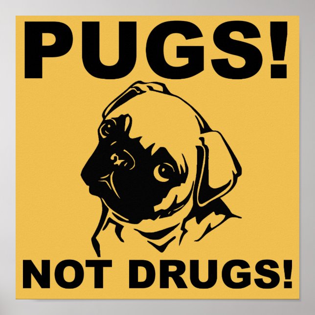 Pugs Não Drogas Engraçadas Sinal de Poster (Frente)