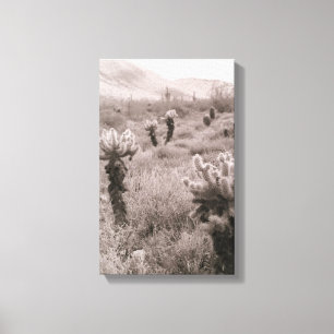 Pulando Impressões de Fotografia B&W no Deserto de