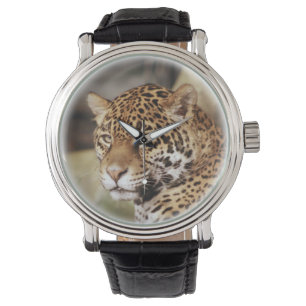 Pulso Relógio de Jaguar