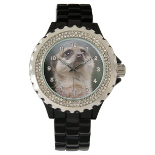 Pulso Relógio de Meerkat