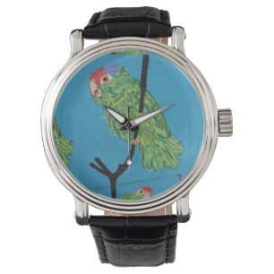 Pulso relógio de papagaio verde