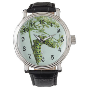 Pulso Relógio de salsa