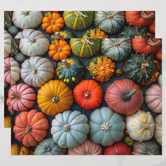 Pumpkins Colorida Gourds Scrapbook Squash (Frente/Verso)