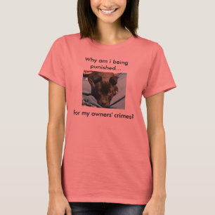 Puna proprietários, não camisa dos cães