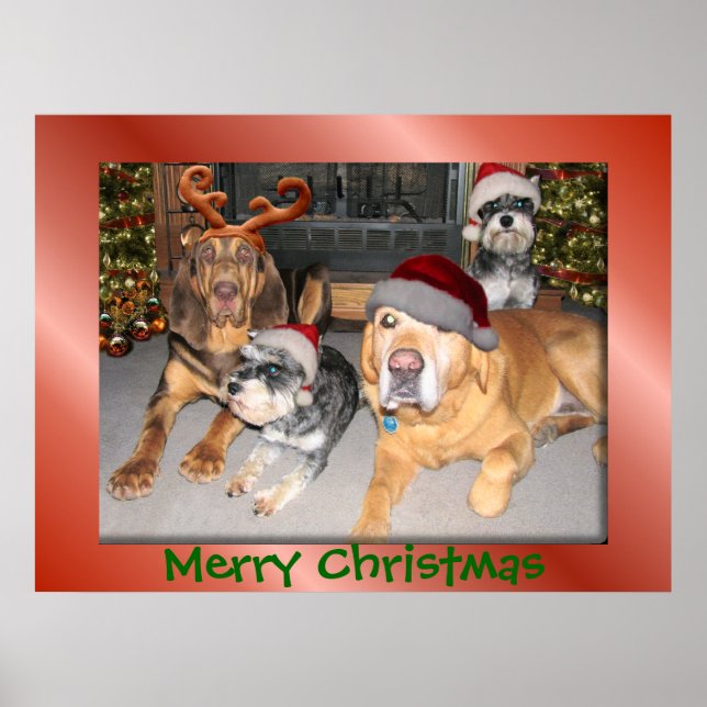 Pup Felry Poster de Natal (Frente)