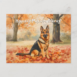 Pupcross de german shepherd - Cartão postal