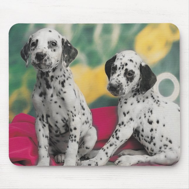 Puppies Mousepad Dalmático (Frente)
