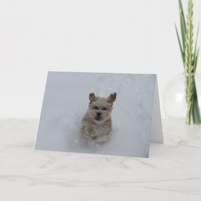 Puppy dashing através do cartão de saudação da nev (Frente)