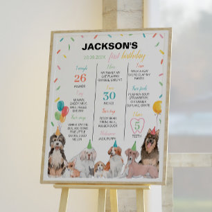 Puppy Dog Boy Birthday Sinal de Marco Poster