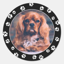 Puppy Instagram Foto White Paw Imprime Adesivos