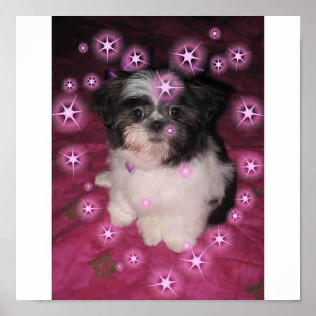 Puppy Love - Poster (Frente)