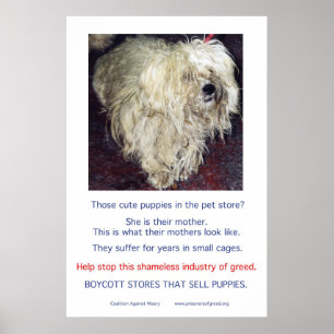 Puppy Mills Breed Misery Poster