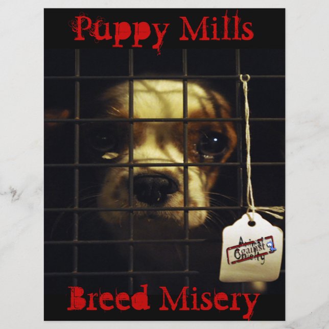 Puppy Mills Flyer (Frente)