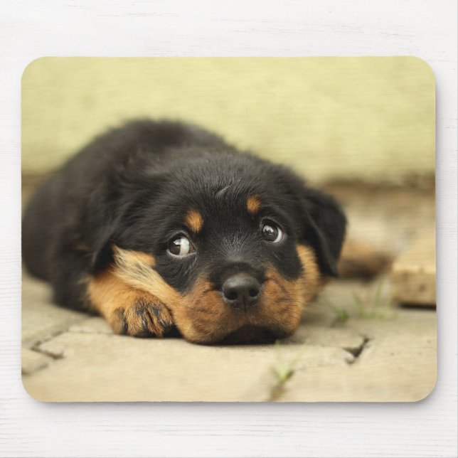 Puppy Mousepad (Frente)