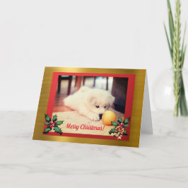 Puppy Natal, Cartão de Natal