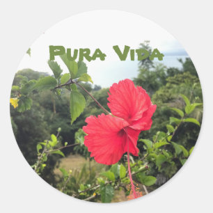 Pura Vida com o adesivo do Hibiscus