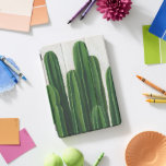 Pura Vida - Grupo Cactos<br><div class="desc">"Pura Vida II" de Grace Popp. Apresenta cactos em alturas variáveis.</div>