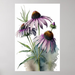 Purple Coneflowers Art Impressão Poster