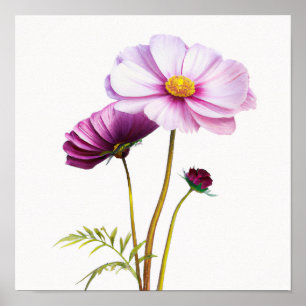 Purple Cosmos Flowers Art Impressão Poster