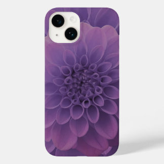 Purple Dahlia