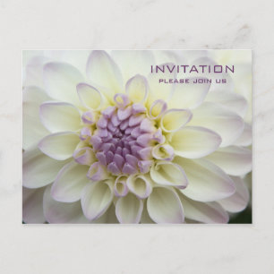 Purple Dahlia - Convite para Janto de ensaio