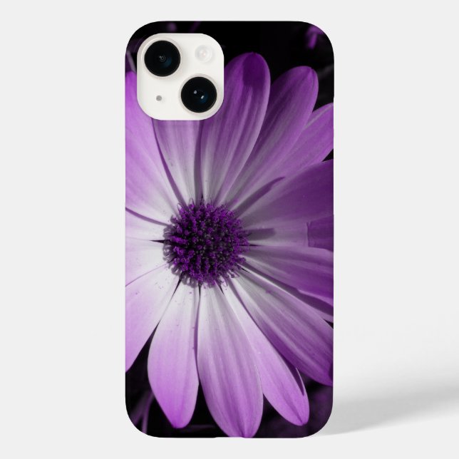 Purple Daisy Flower (Verso)