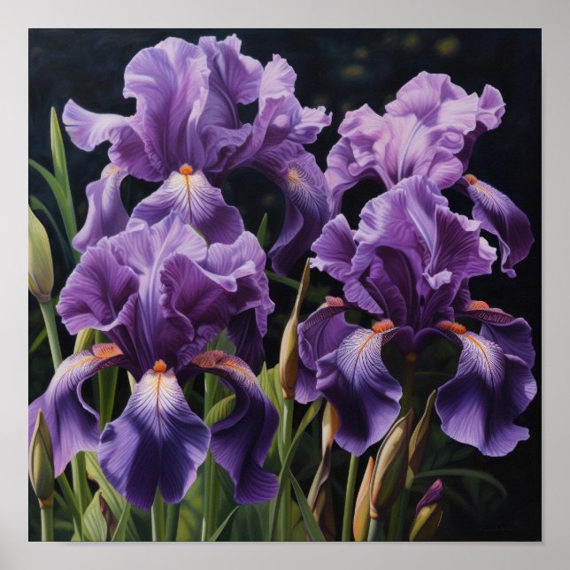 Purple Iriss Flower Art Impressão (Frente)