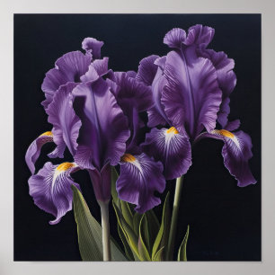 Purple Iriss Flower Art Impressão