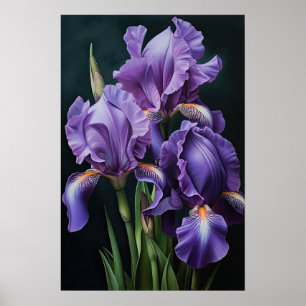 Purple Iriss Flower Art Impressão