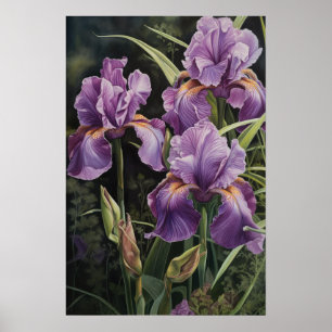 Purple Iriss Flower Art Impressão