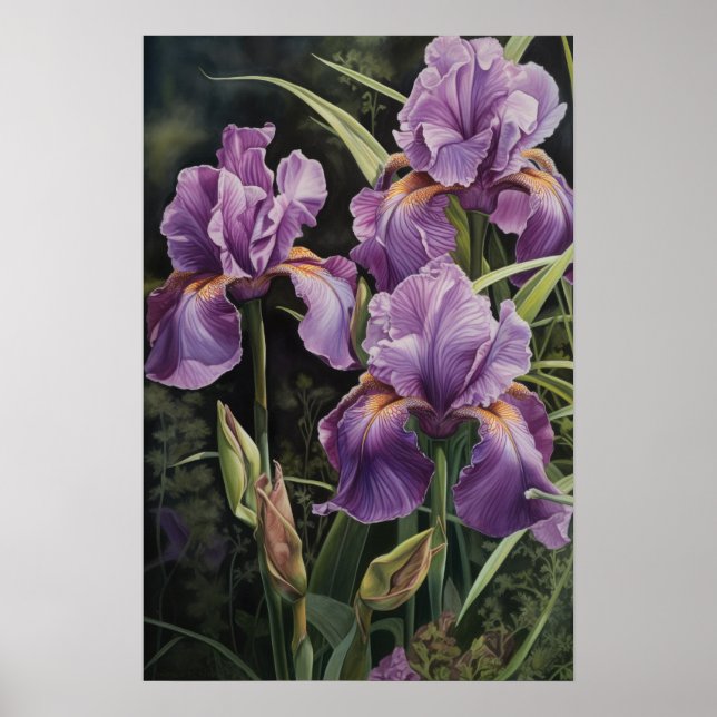 Purple Iriss Flower Art Impressão (Frente)