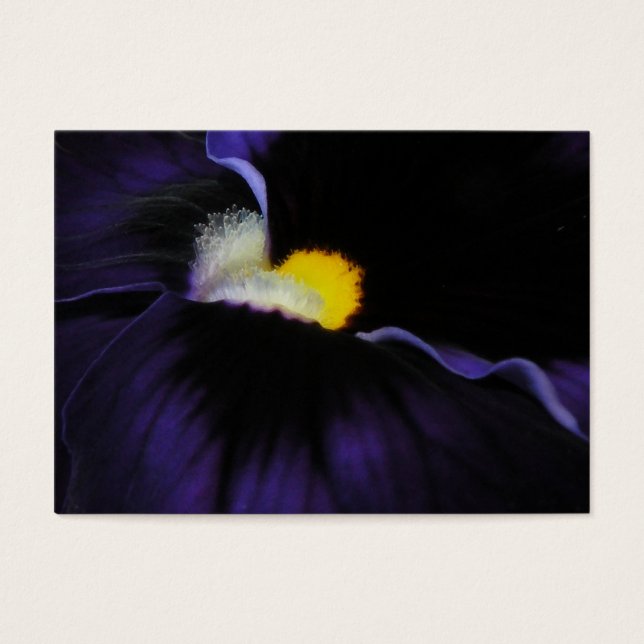 Purple Viola Macro ATC 2 (Frente)