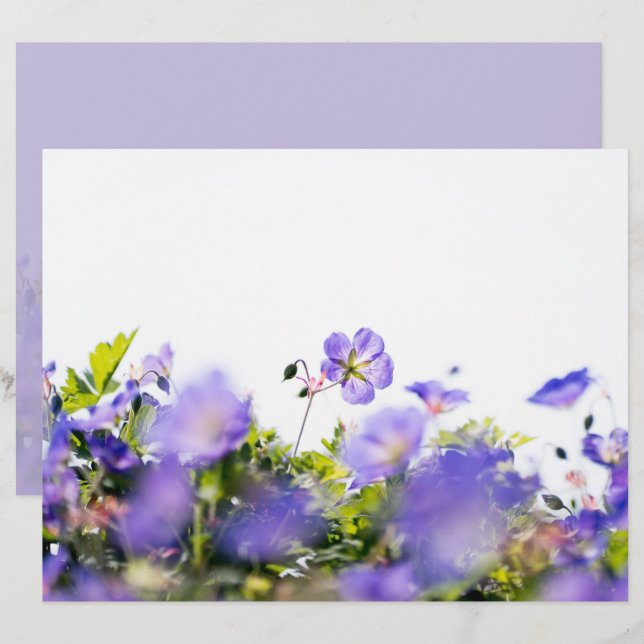 Purple Wildflower Two-Sided Scrapbook Paper (Frente/Verso)