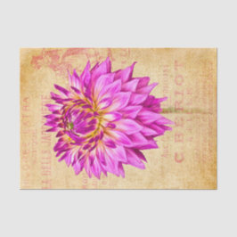 Púrpura da dissociação de papel de tecido de grand