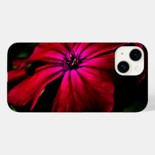Púrpura Flor Selvagem
