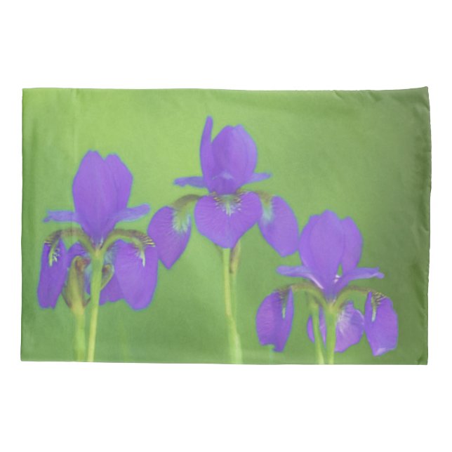 Púrpura Iris - Arte Flor Original (Verso)