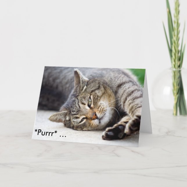 *Purr* - Cartão de Aniversário Engraçado com Cat (Frente)