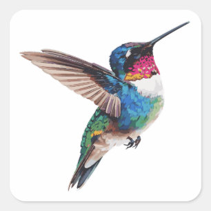 Quadrado Adesivo Artístico Moderno de Beija-flor Colorido