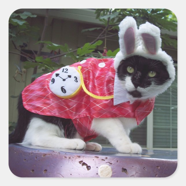 Quadrado Adesivo branco de coelho (Frente)