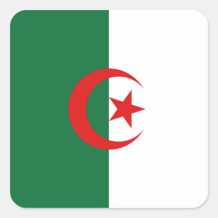 Quadrado Adesivo da Bandeira da Argélia