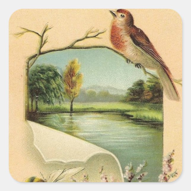 Quadrado Adesivo de animal divertido de pássaro vintage (Frente)