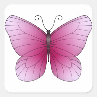 Quadrado Adesivo de borboleta rosa