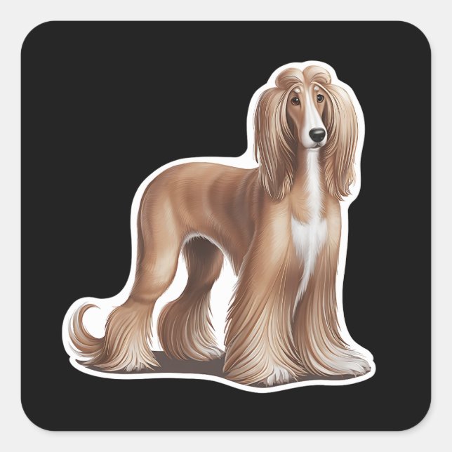 Quadrado Adesivo de cão afegão (Frente)