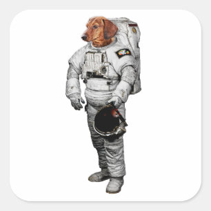Quadrado Adesivo de Dachshund Astronauta