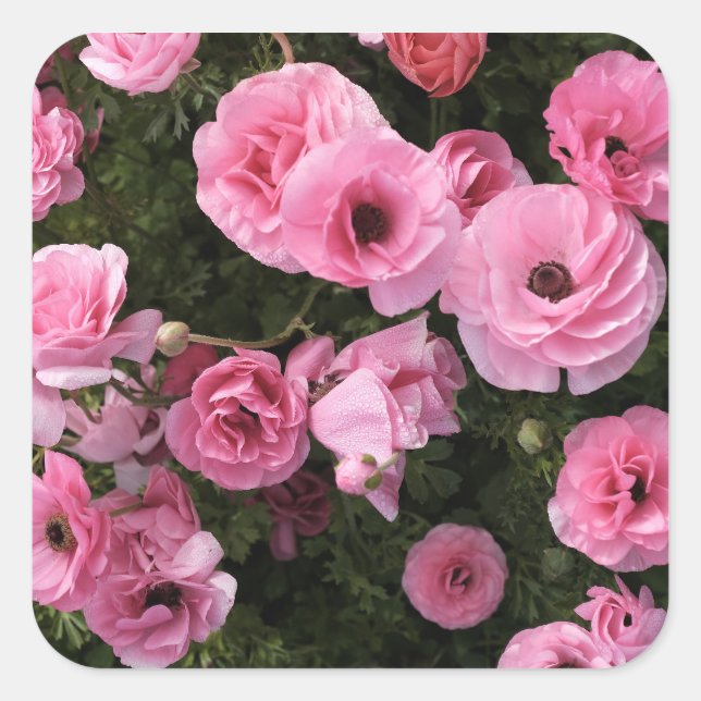 Quadrado Adesivo de flores rosa (Frente)