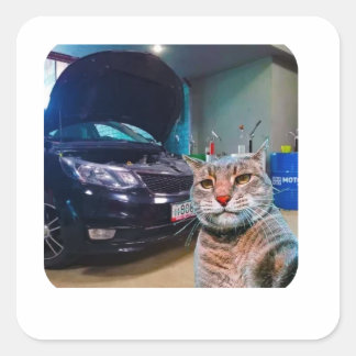 Quadrado Adesivo de Gato Mecânico Engraçado na Garagem