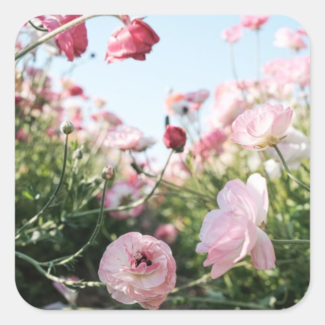 Quadrado Adesivo de jardim de flores rosa (Frente)