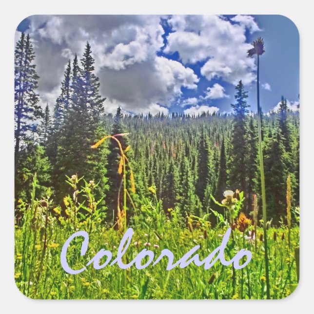 Quadrado Adesivo de primavera do Colorado (Frente)