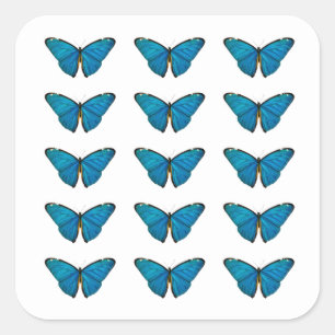 Quadrado Adesivo de selo de envelope: Borboleta azul