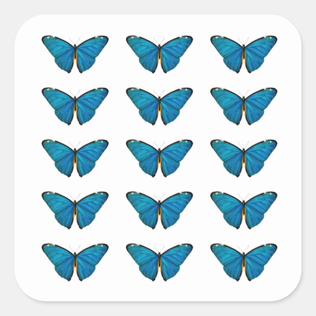 Quadrado Adesivo de selo de envelope: Borboleta azul (Frente)